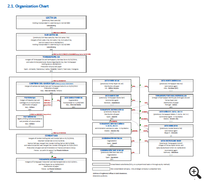 Lecta Group as at 31 March 2019. Organization Chart