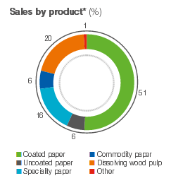 Sappi Q2 2019. Sales by product
